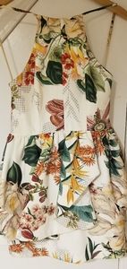 Cameo Open Back Frill Mini Dress